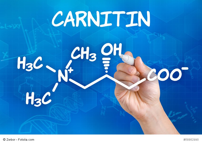 L-Carnitin - die Wunderwaffe